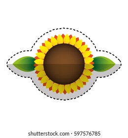 cute sunflower isolated icon vector illustration design