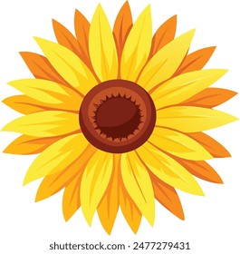 A cute sunflower looks grateful