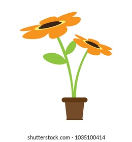 Cute sunflower on a pot