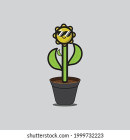 cute sunflower plant is very interesting