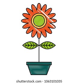 cute sunflower in pot
