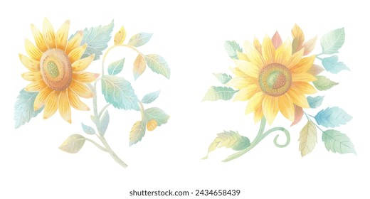 cute sunflower watercolour vector illustration