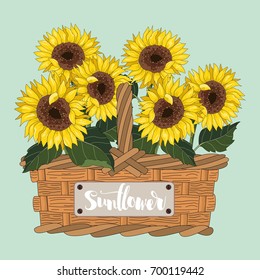Cute sunflowers in the basket. Vector illustration.