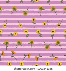 Flores solares sin costura en rayas rosas