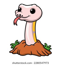 Cute super cinnamon banana ball python cartoon out from hole