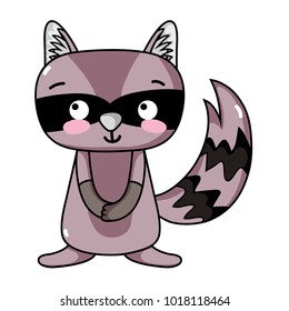 cute and surprised raccoon wild animal