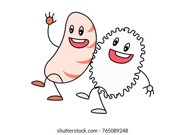 Cute Sushi and Rice. Vector Illustration. Isolated on white background.