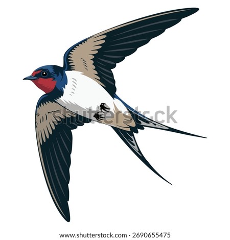 Cute swallow concept vector illustration sticker with bird soaring in sky, wings spread bottom view perfect for postcards, flat cartoon artwork isolated