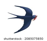 Cute swallow flying on white background cartoon bird animal design