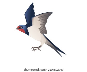 Cute swallow flying on white background cartoon bird animal design