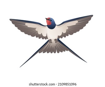 Cute swallow flying on white background cartoon bird animal design