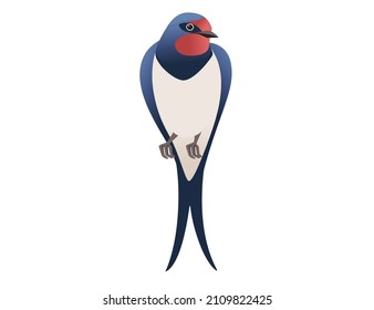 Cute Schwalbe auf weißem Hintergrund Cartoon-Vogeldesign