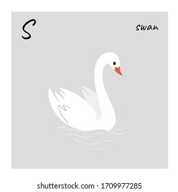 Cute swan - cartoon bird character. Vector illustration in flat style isolated on gray background.