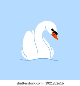 Cute swan - cartoon bird character. Vector illustration in flat style isolated on blue background.