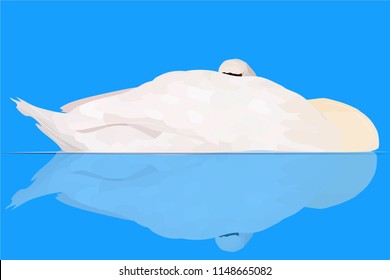 Cute swan. Sleeping Swan. Vector image. Blue water background.