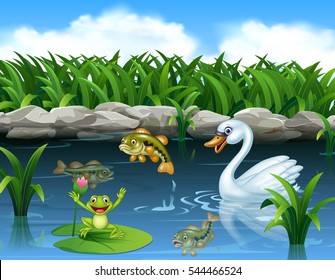 Cute swan swimming on the pond and frog

