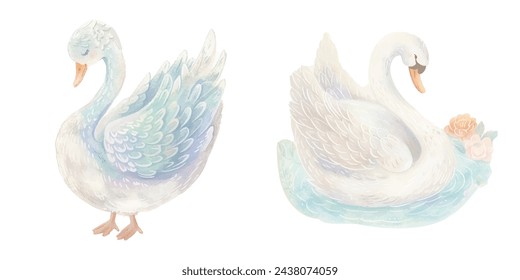 lindo cisne acuarela ilustración vectorial 