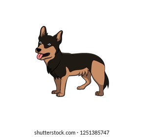 Cute Swedish Vallhund Cartoon Dog. Vector illustration of purebred swedish vallhund dog.