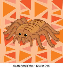 Cute sweet halloween spider insect cartoon illustration vector drawing with seamless pattern background