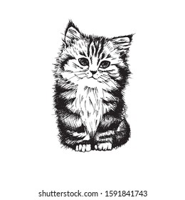 Cute sweet hand drawn cat kitten vector illustration