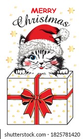 Cute sweet hand drawn cat kitten in Santa hat with gift box. Christmas vector illustration. Print for kids t-shirt.