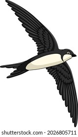 Cute Swift bird cartoon vector illustration