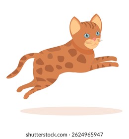 Cute tabby cat jumping and playing with paws outstretched