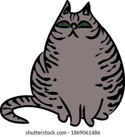 Cute tabby cat is lying. Body positive for people and animals. Favorite pet.