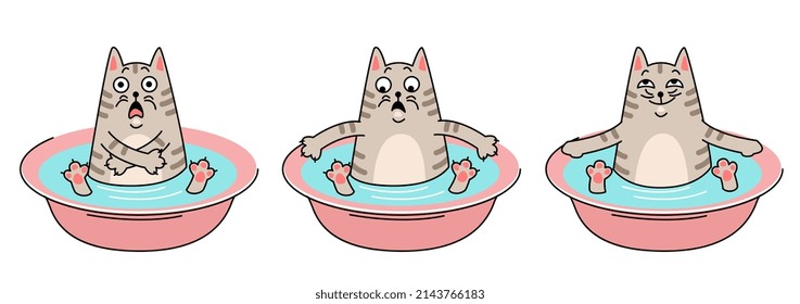 A cute tabby cat washes in a basin, he is scared, he is afraid, tense, relaxed, enjoys water.