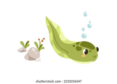 Cute tadpole swimming. Little larval froggy floating. Baby frog, small amphibian, adorable animal. Funny happy smiling character. Flat cartoon vector illustration isolated on white background