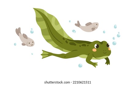 Cute tadpole swimming in water. Little baby frog floating. Green amphibian, adorable froggy animal. Happy smiling larval character. Flat cartoon vector illustration isolated on white background