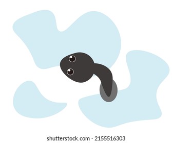 Cute tadpoles .  Vector illustration .  