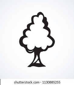 Cute tall green deciduous walnut isolated on white backdrop. Freehand line black ink hand drawn logotype emblem sketchy in art contour scribble comic retro style pen on paper with space for text