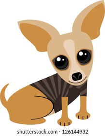 Cute tan chihuahua dog with big googly eyes and huge ears.