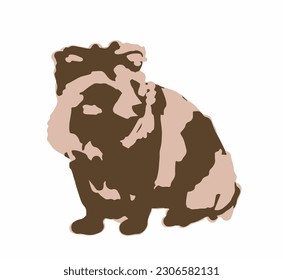 Cute tanukki looking to the side, vector isolated no background