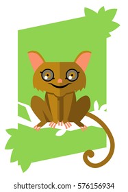 cute tarsier monkey on a tree