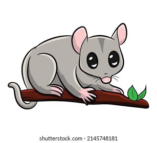 Cute Tasmanian Fuzzy possum Gray Cartoon Character	