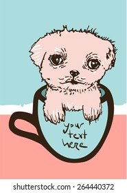 Cute Tea Cup Puppy