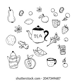Cute tea doodle element. Big set tea with fruits, berries, herbs, lemon, apple, pear, pomegranate, strawberry, cherry, ginger, blueberry 
