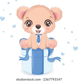 Cute Teddy Bear Boy Sitting in the gift box
