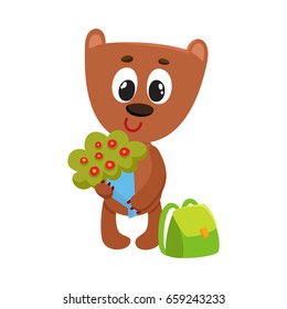 Cute teddy bear student character with backpack holding bunch of flowers, back to school concept, cartoon vector illustration isolated on white background. Little bear student with bunch of flowers