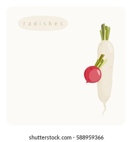 cute template of round and long radishes on a smooth background