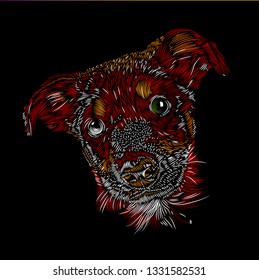 Cute Tender Dog