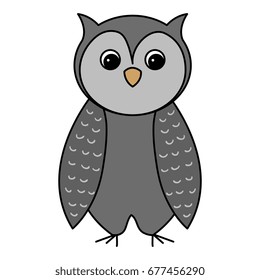 cute and tender owl