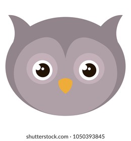 cute and tender owl head
