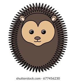 cute and tender Porcupine