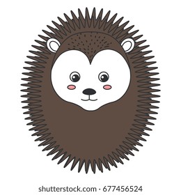 cute and tender Porcupine