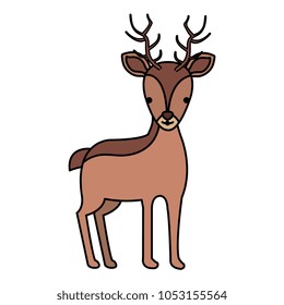 cute and tender reindeer