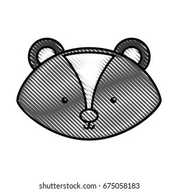 cute and tender Skunk