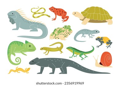 Cute terrarium amphibians and exotic reptiles set cartoon vector illustration. Salamander, chameleon, frog and toad, turtle, lizard, gecko, triton, snail fauna character isolated on white background